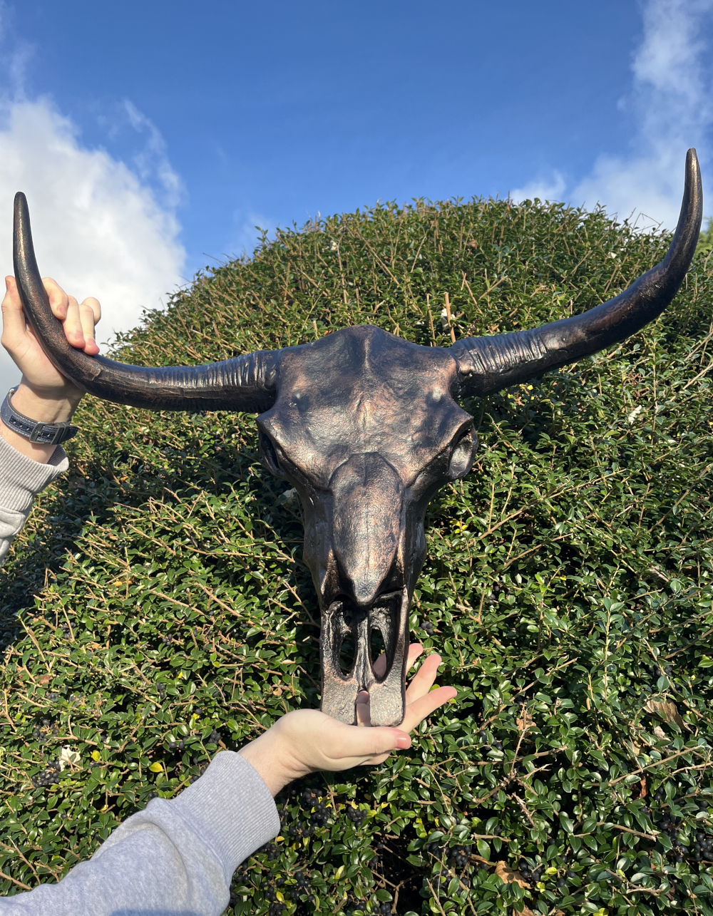Cast Aluminium Bronze & Copper Bison Skull Home Ornament