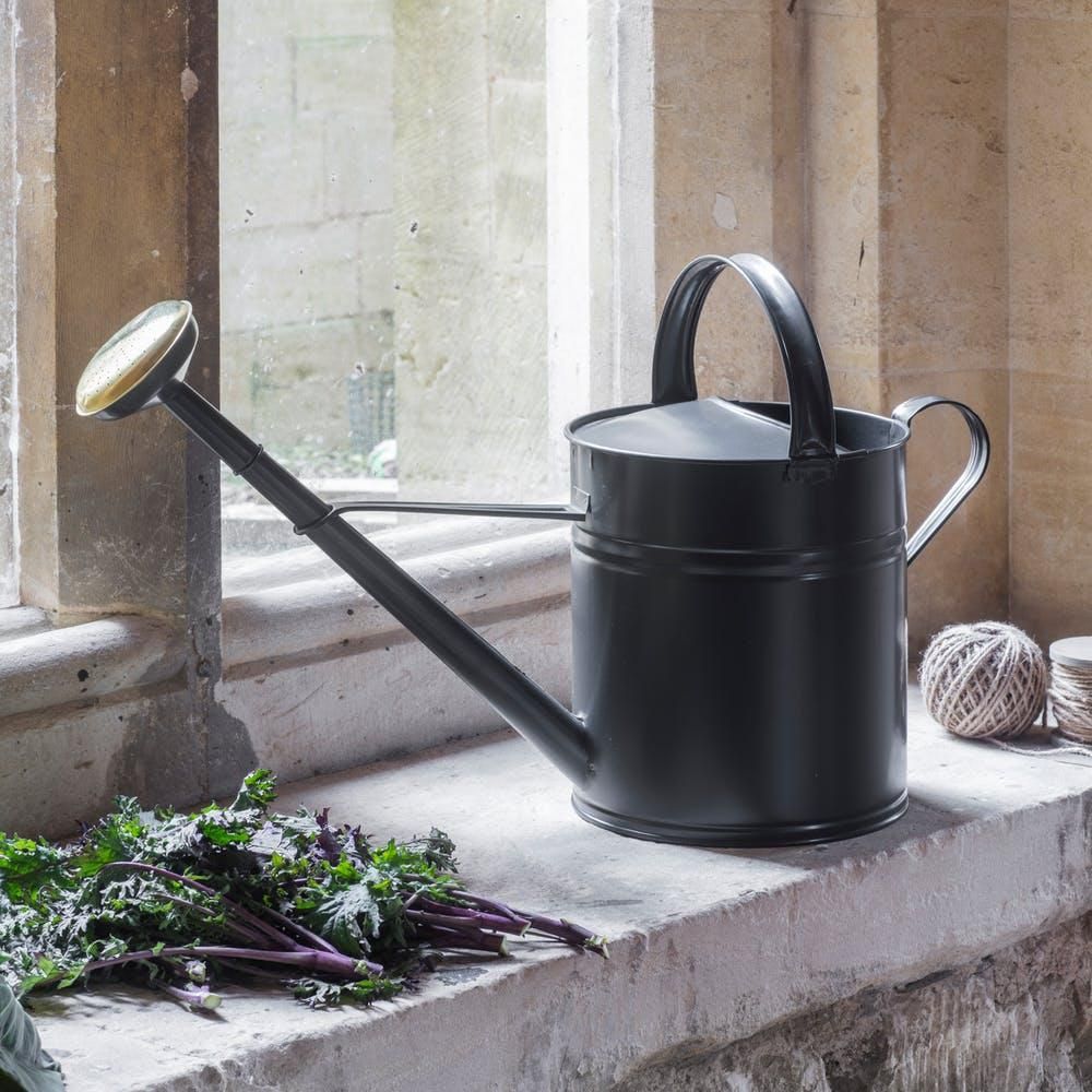 Traditional Black 'Alnwick' Watering…