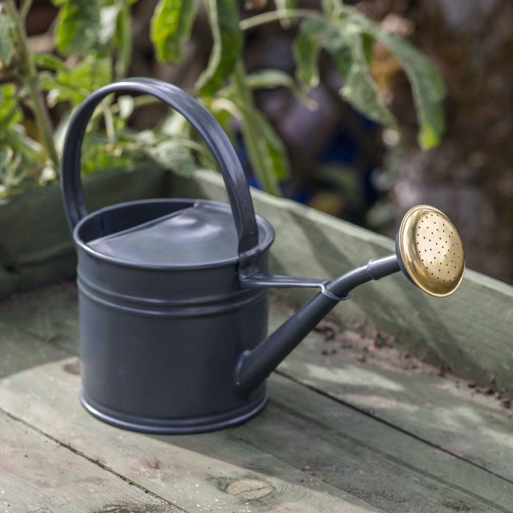 Traditional Black 'Alnwick' Watering…