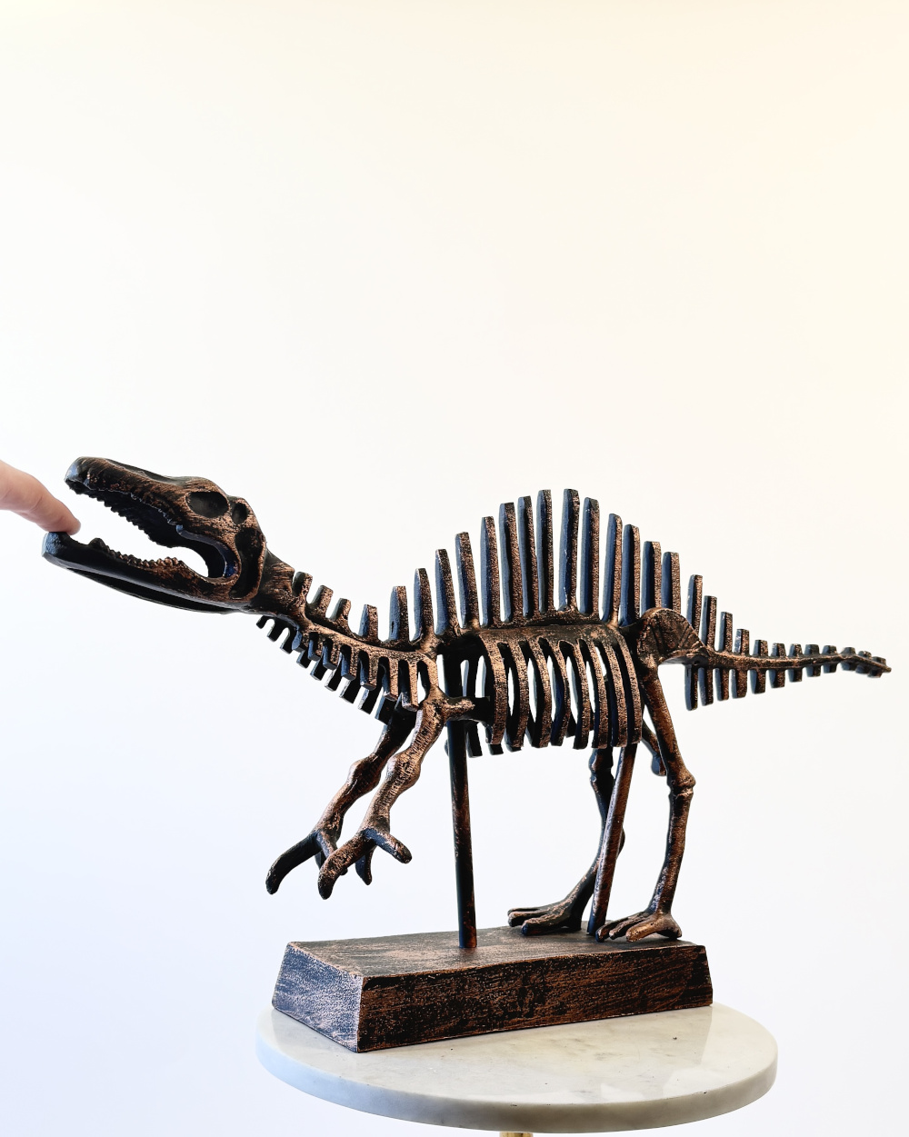 Cast Aluminium Bronze Dinosaur Skeleton Sculpture - 63cm
