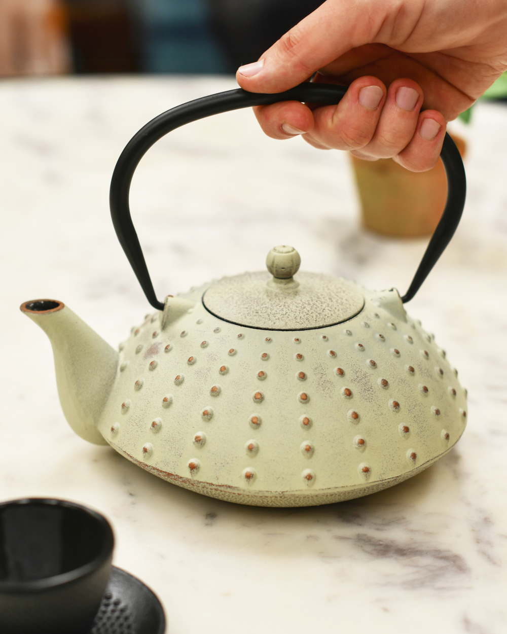 Cast Iron Cream Japanese Teapot (Clearance)