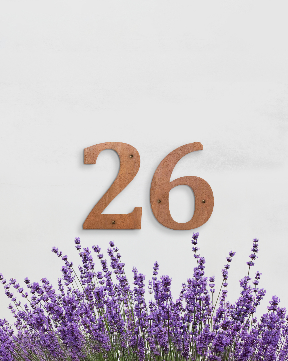 Rustic Steel 'Cambria' Screw Fix Number - 5 Inch