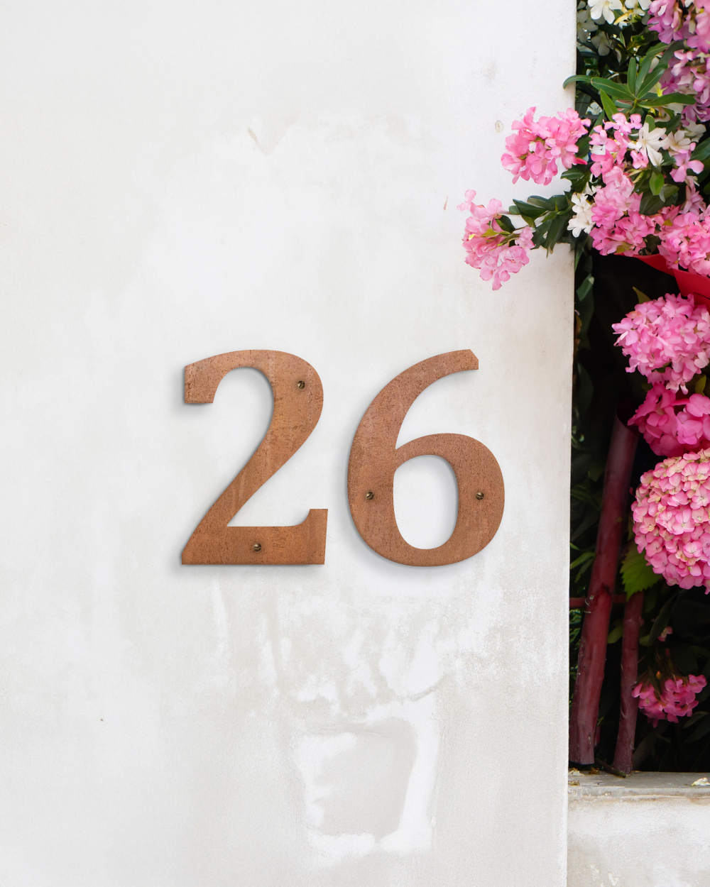 Rustic Steel 'Cambria' Screw Fix Number - 12 Inch