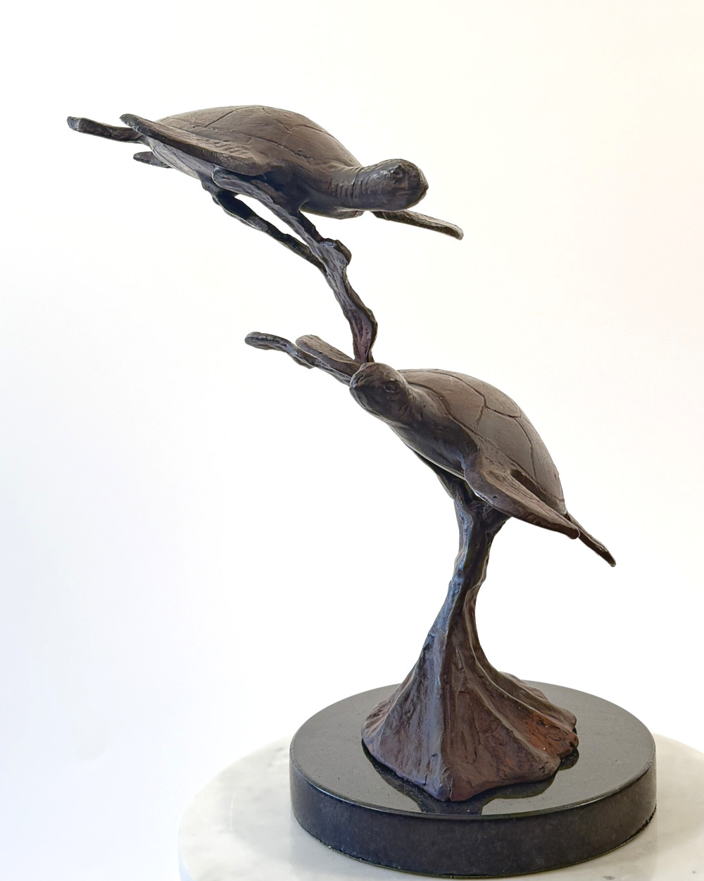 'The Drift' Cast Aluminium Rustic Turtle Home Ornament - 40cm