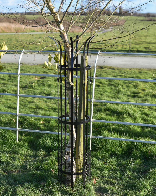 Wrought Iron Traditional Black 'Dalb…