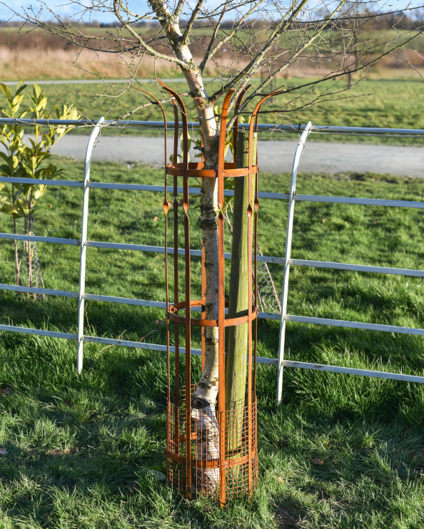 Wrought Iron Traditional Rustic 'Dalby' Tree Guard - 154cm