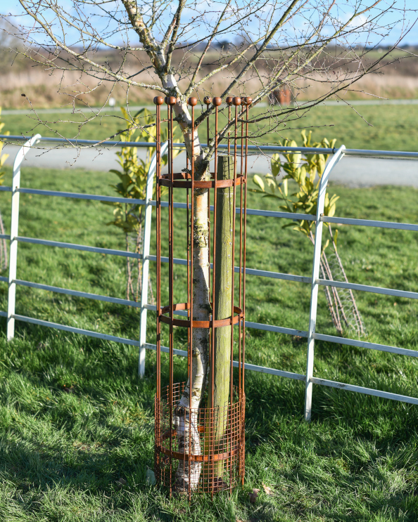 Wrought Iron Traditional Rustic 'Ker…