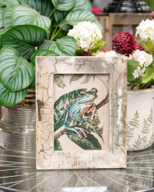 'The Jungle Lookout' Recycled Wooden Framed Frog Artwork - 26 x 21cm