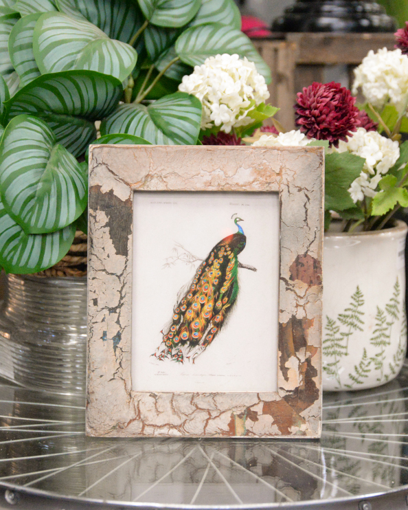 'The Regal Display' Recycled Wooden Framed Peacock Artwork - 26 x 21cm