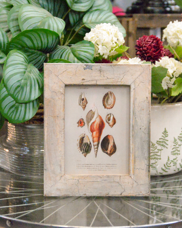 'The Treasures Of The Tide' Recycled Wooden Framed Artwork - 26 x 21cm