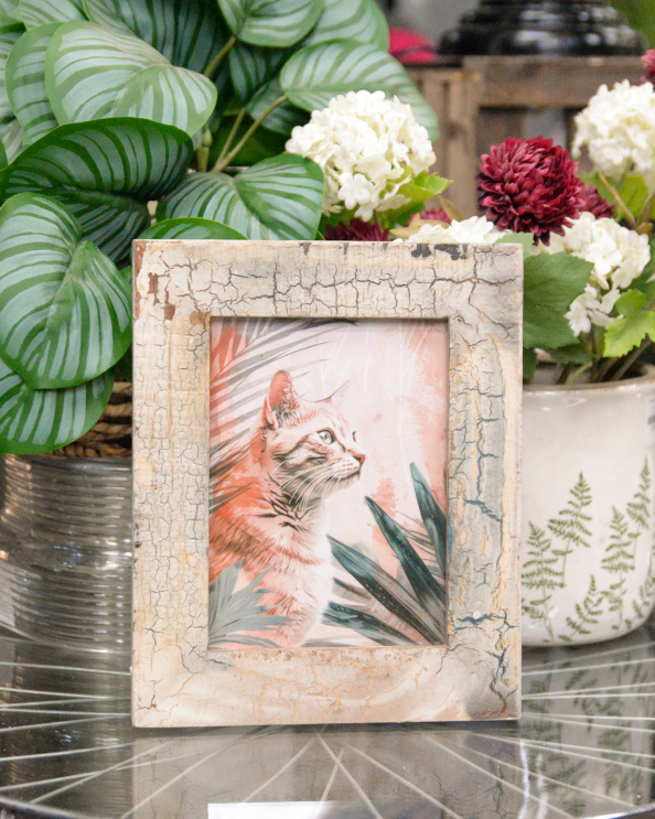 'The Tropical Tabby' Recycled Wooden Framed Cat Artwork - 26 x 21cm