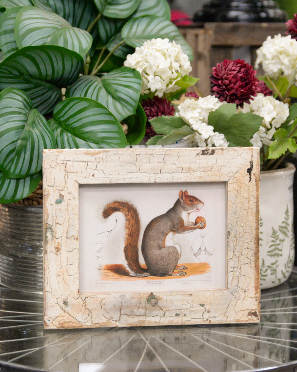 'The Woodland Gatherer' Recycled Wooden Framed Squirrel Artwork - 26 x 21cm