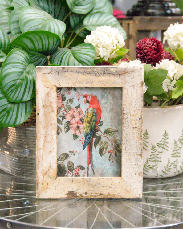 'Vibrant Paradise' Recycled Wooden Framed Parrot Artwork - 26 x 21cm