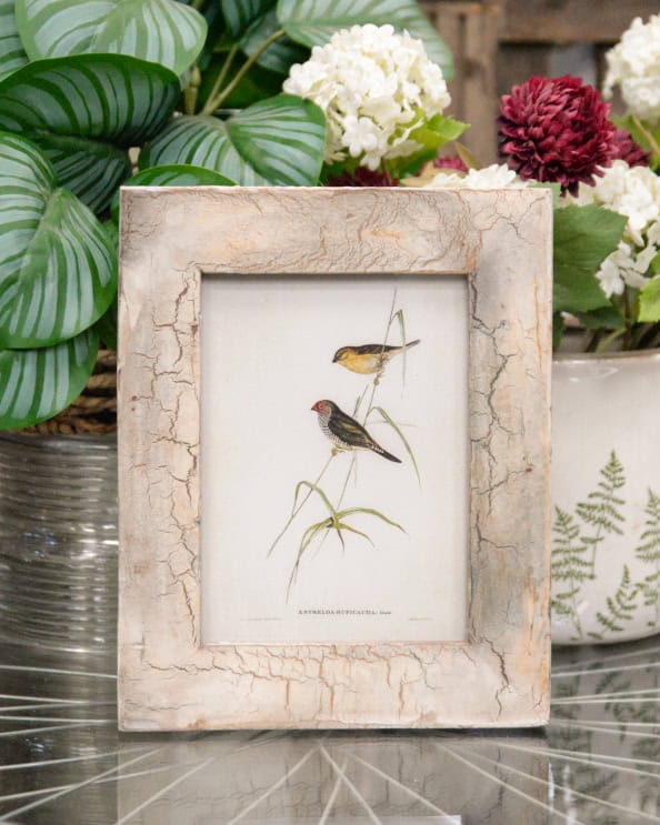 'Whispers Of The Wild' Recycled Wooden Framed Finches Artwork - 26 x 21cm