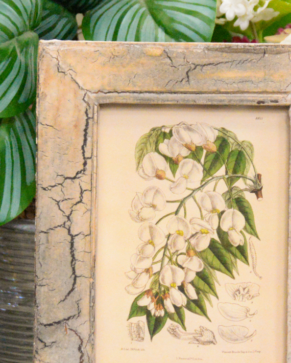 'A Shower Of White' Recycled Wooden Framed Floral Artwork Close Up