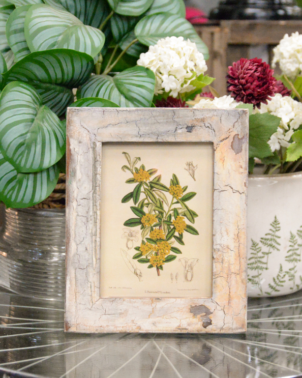 'Botanical Sunshine' Recycled Wooden Framed Daphne Artwork - 26 x 21cm