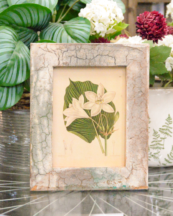 'Cattleya Elegance' Recycled Wooden Framed Magnolia Artwork - 26 x 21cm