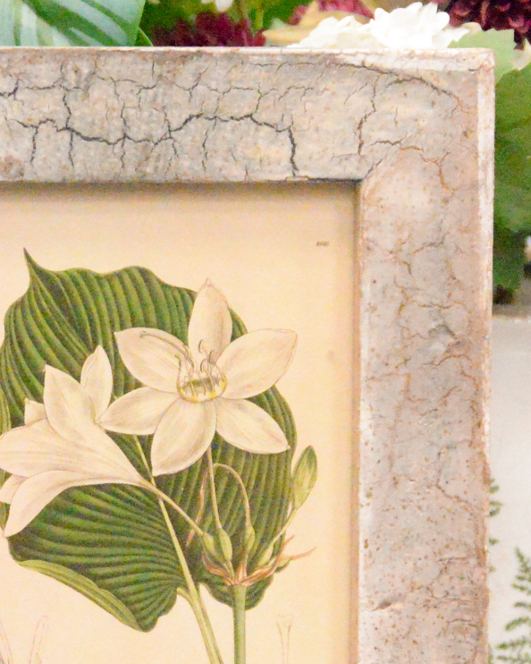 'Cattleya Elegance' Recycled Wooden Framed Floral Artwork Close Up
