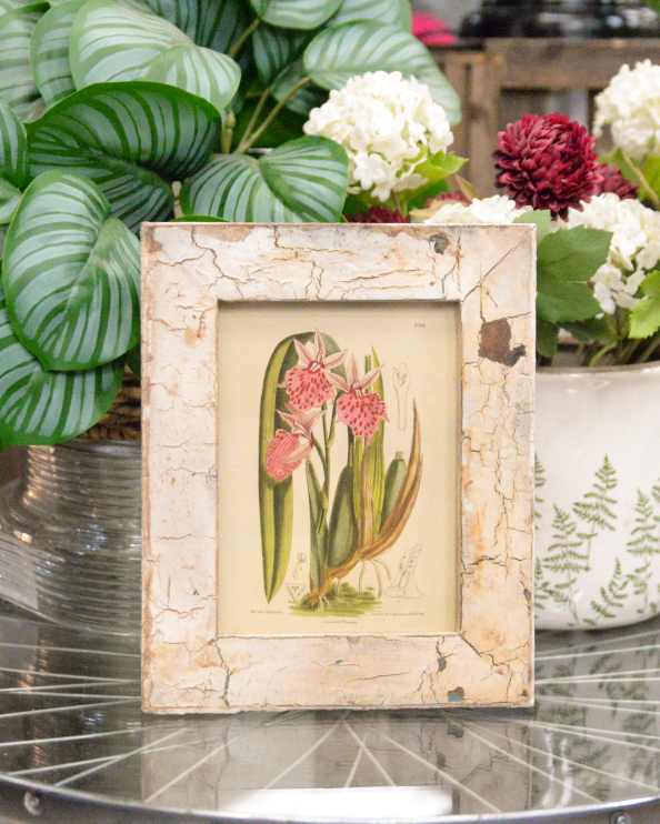 'Exotic Bloom' Recycled Wooden Framed Orchids Artwork - 26 x 21cm