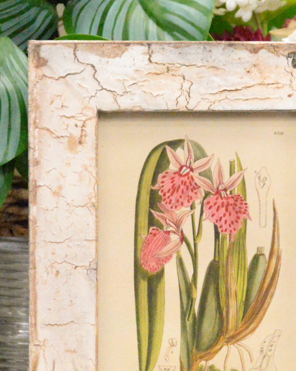 'Exotic Bloom' Recycled Wooden Framed Floral Artwork Close Up