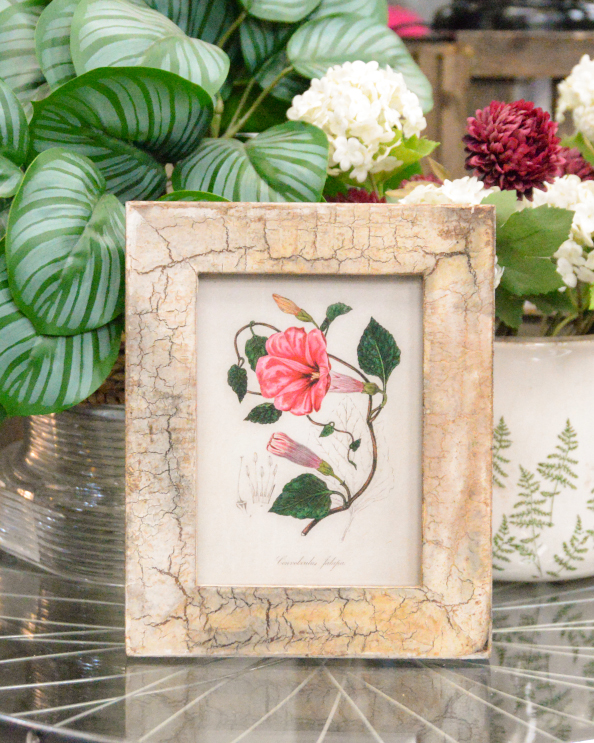 'Hidden Bloom' Recycled Wooden Frame…