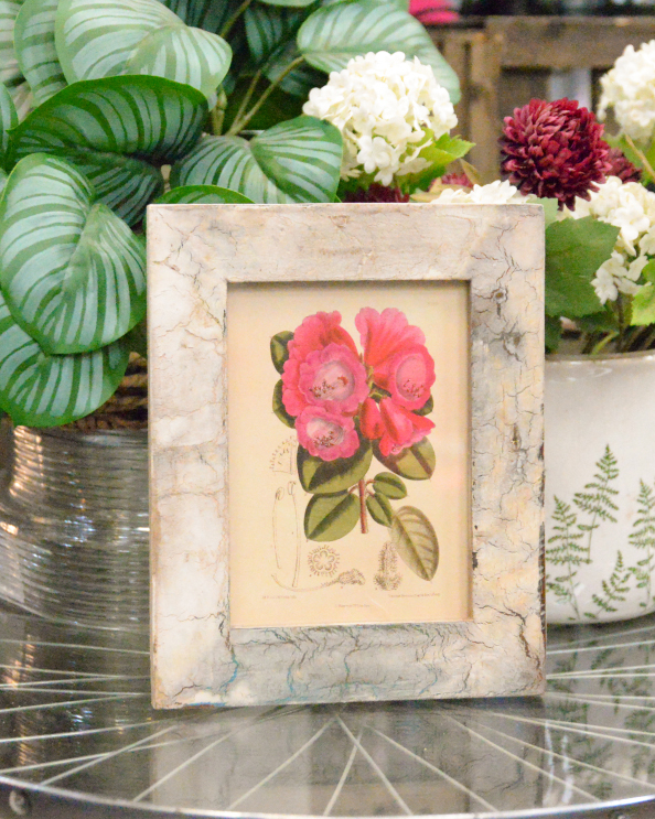 'Nature's Art' Recycled Wooden Framed Rhododendron Artwork - 26 x 21cm
