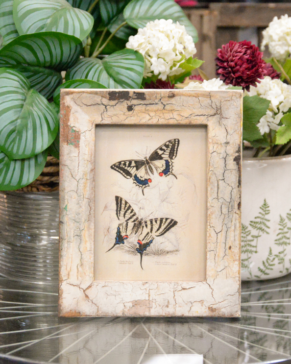 'The Delicate Dance' Recycled Wooden Framed Butterfly Artwork - 26 x 21cm