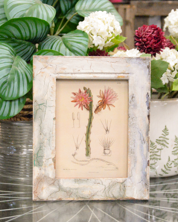 'The Desert Bloom' Recycled Wooden Framed Floral Cactus Artwork - 26 x 21cm