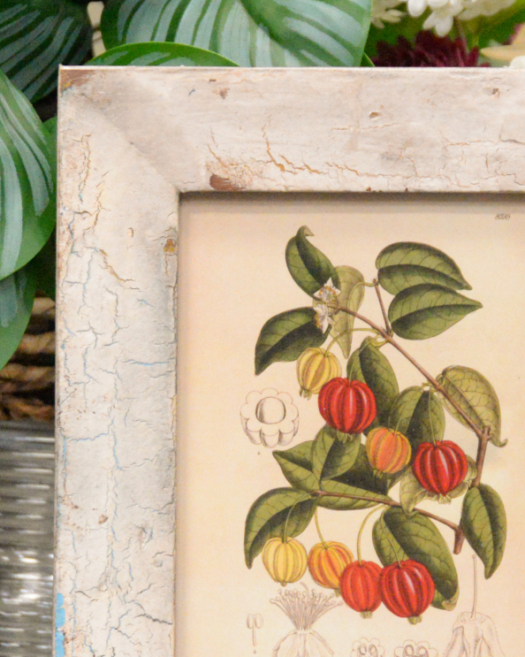 Close Up Of The Distressed Wood Frame