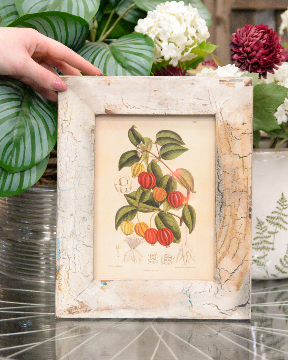 'The Gardens Treasure' Recycled Wooden Framed Floral Artwork To Scale