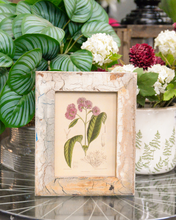 'Timeless Bloom' Recycled Wooden Framed Bothriocline Artwork - 26 x 21cm