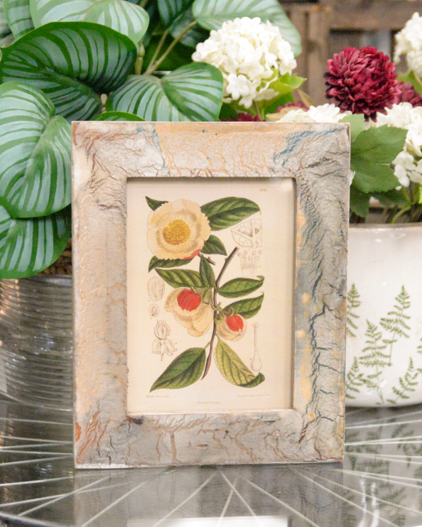 'Timeless Elegance' Recycled Wooden Framed Stewartia Artwork - 26 x 21cm