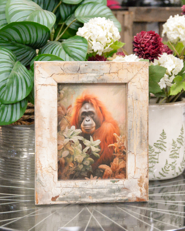 'Wise Gaze' Recycled Wooden Framed Orangutan Artwork - 26 x 21cm