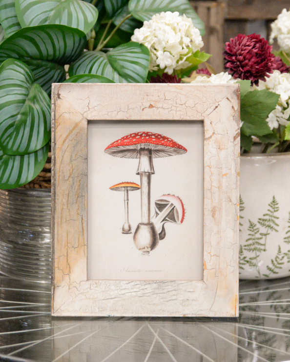 'Woodland Sprite' Recycled Wooden Framed Agaric Artwork - 26 x 21cm