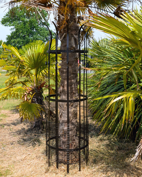 Wrought Iron Traditional Black 'Dalb…