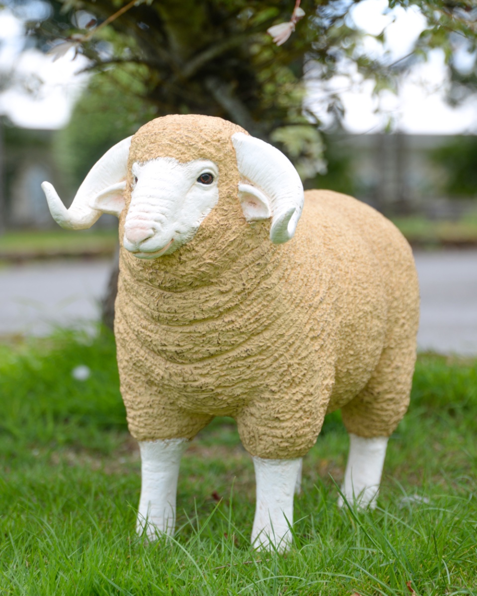 'Brawn' The Ram Resin Garden Sculptu…