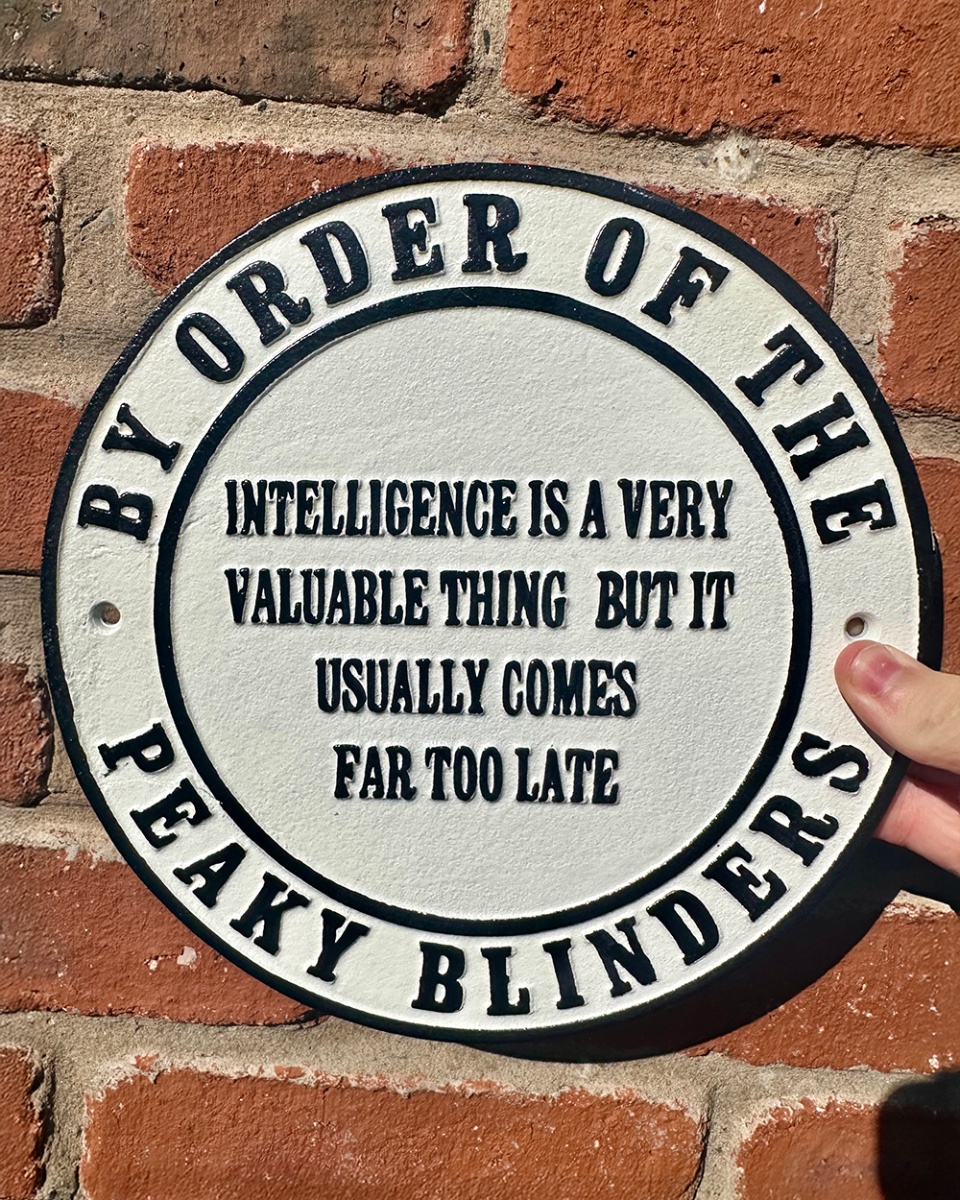 'Intelligence Is Very Valuable' Cast Iron Humour Sign