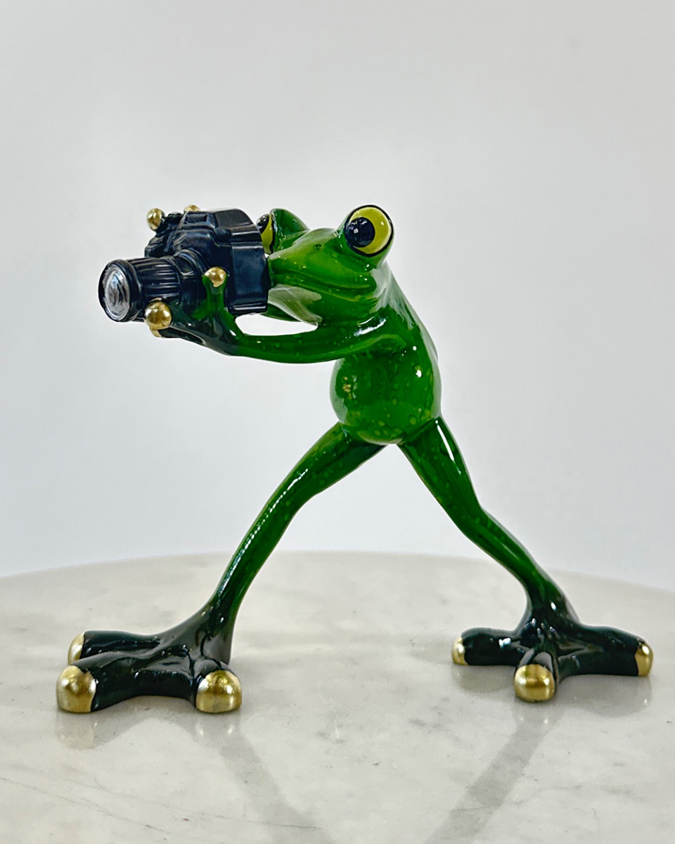 'Perfect Shot' Resin Frog Ornament