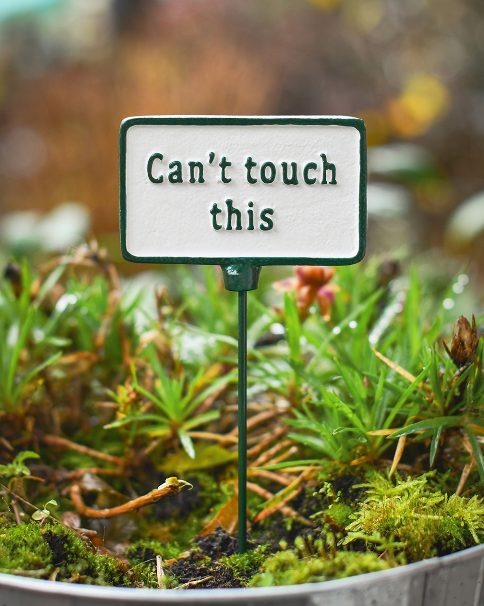 Cast Iron 'Can't Touch This' Humorous Plant Pot Spike