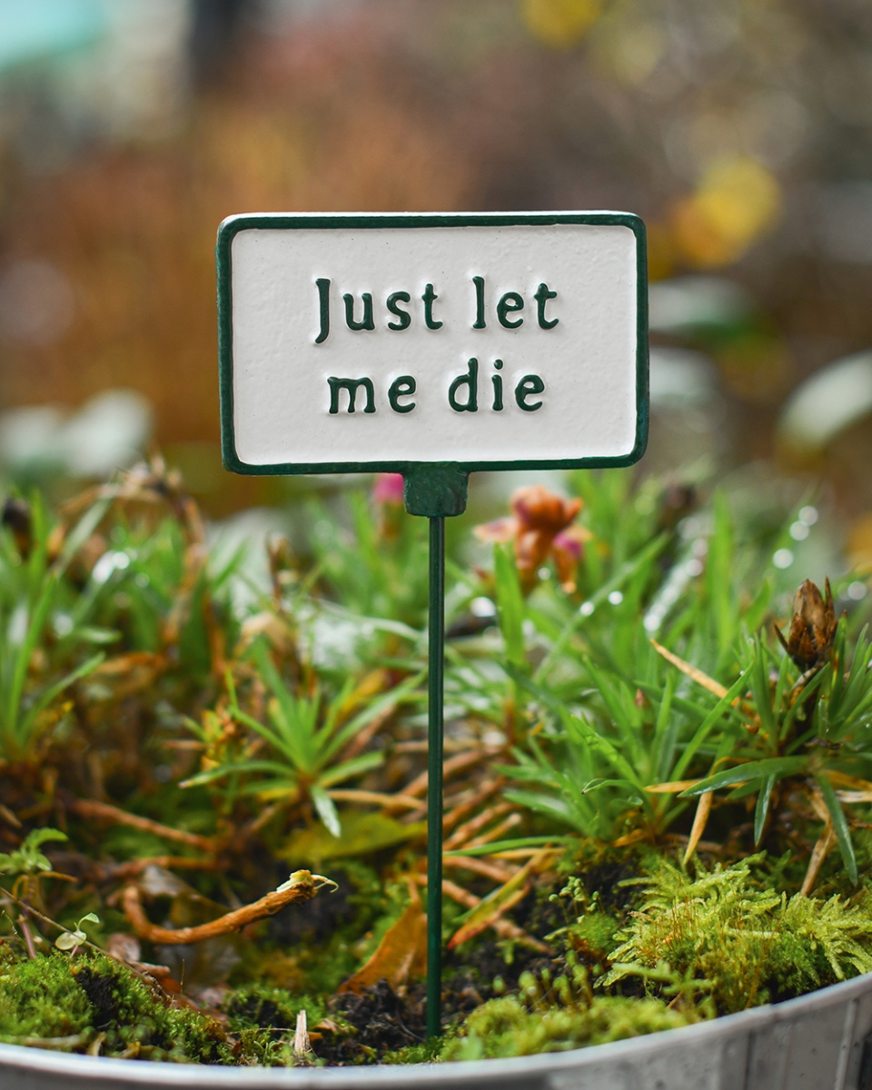 Cast Iron 'Let Me Die' Humorous Plant Pot Spike