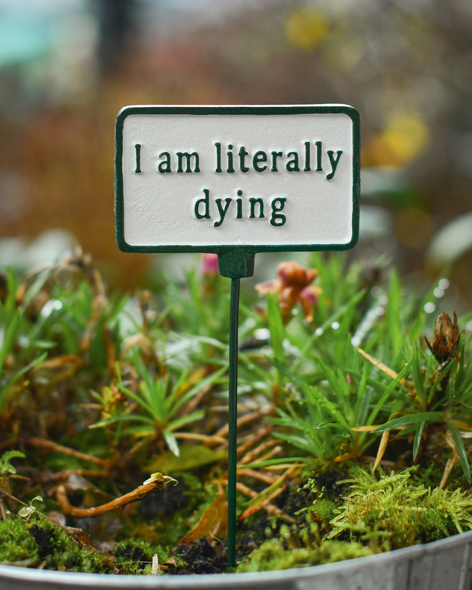 Cast Iron 'Literally Dying' Humorous Plant Pot Spike