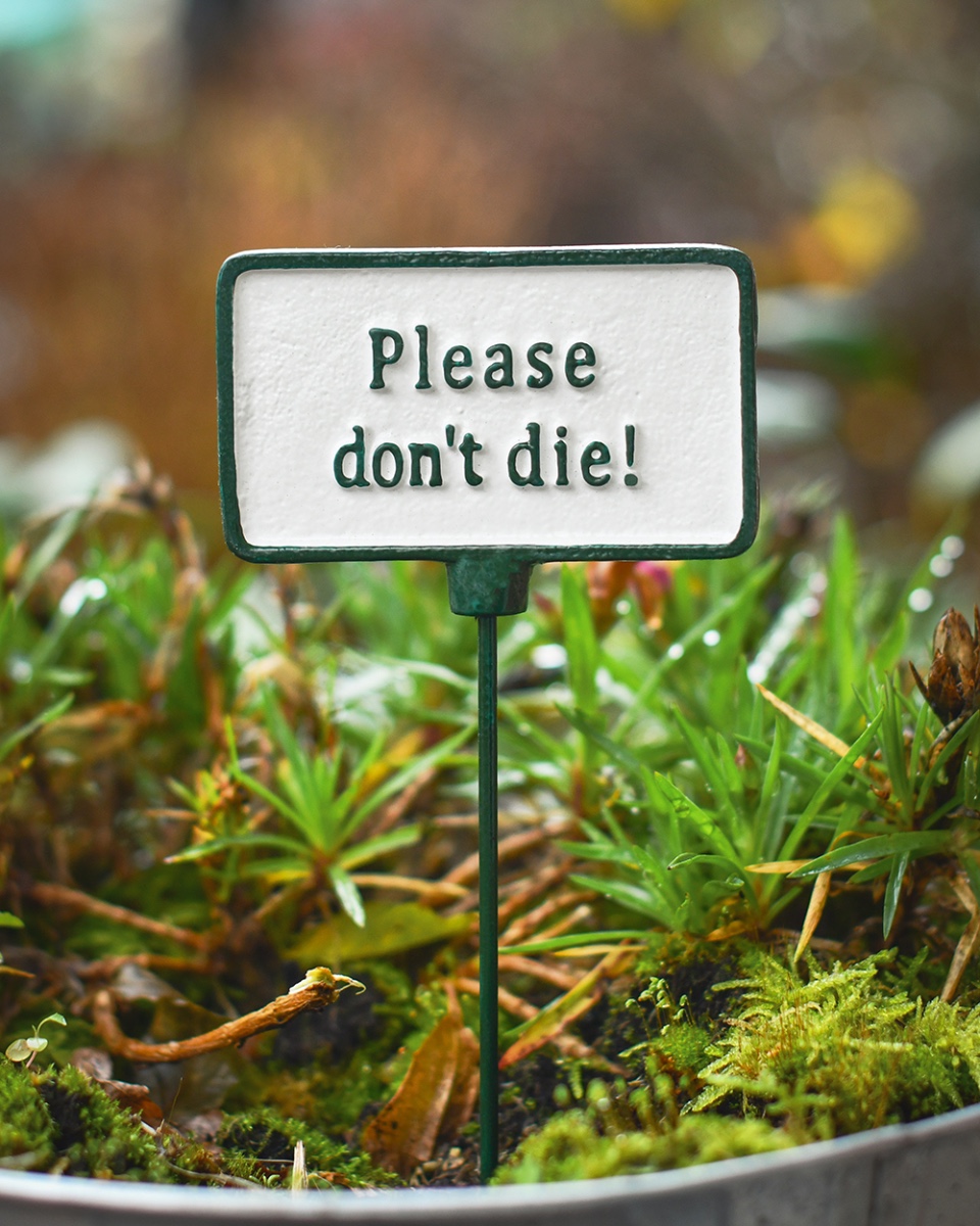 Cast Iron 'Please Don't Die!' Humorous Plant Pot Spike