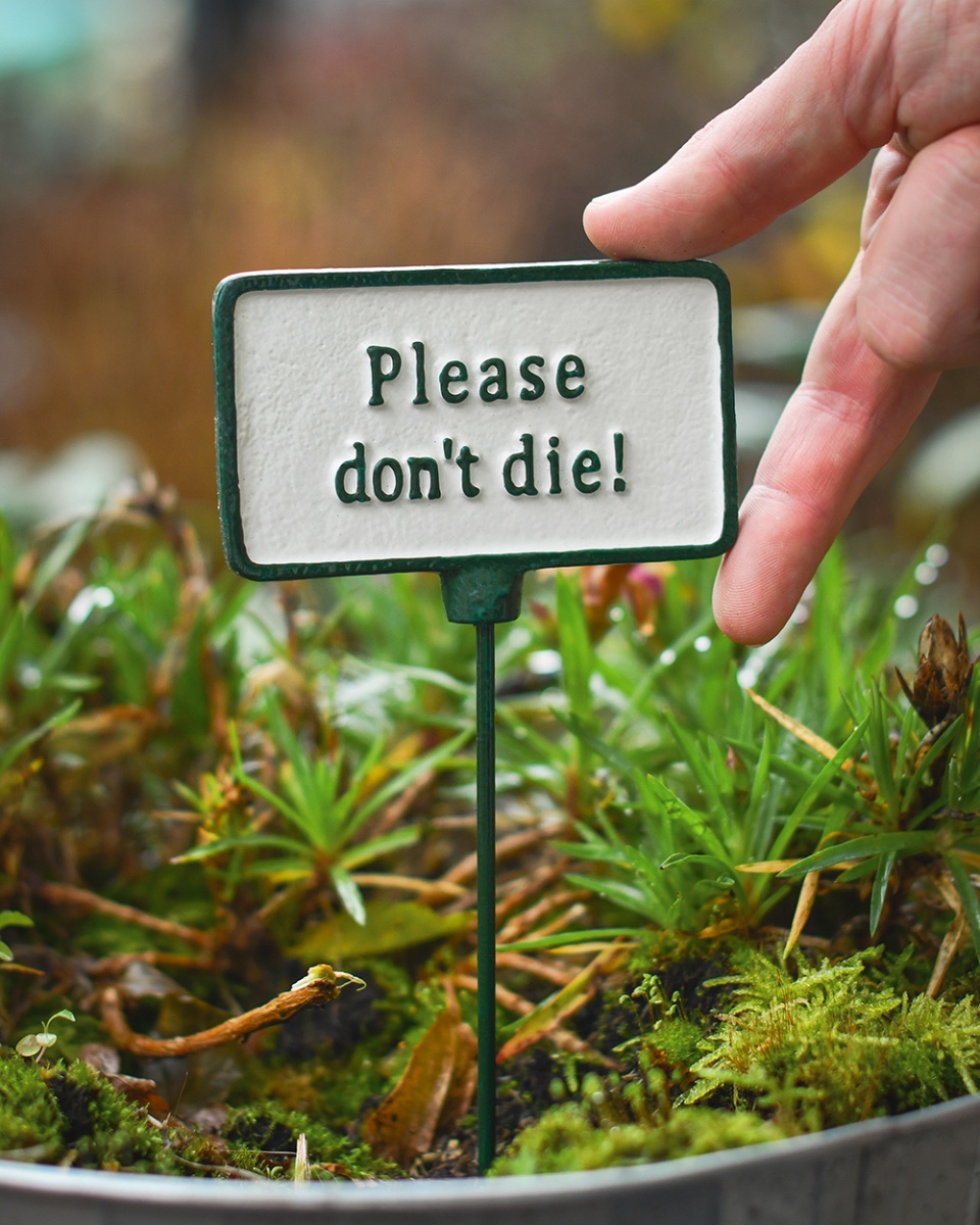 Cast Iron 'Please Don't Die!' Humorous Plant Pot Spike Scale