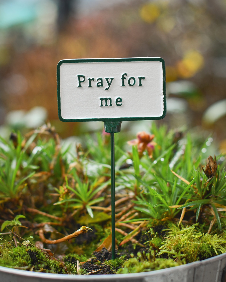 Cast Iron 'Pray For Me' Humorous Plant Pot Spike