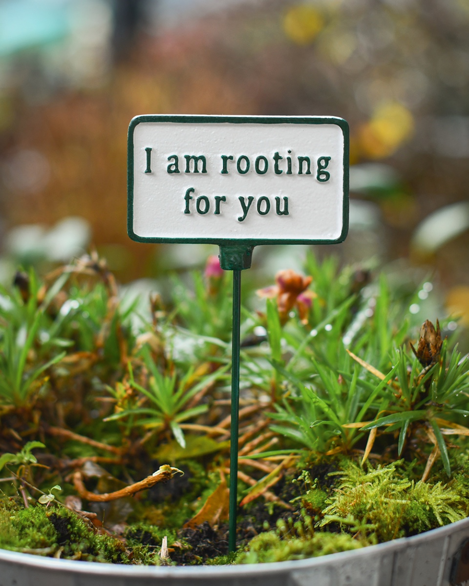 Cast Iron 'Rooting For You' Humorous Plant Pot Spike