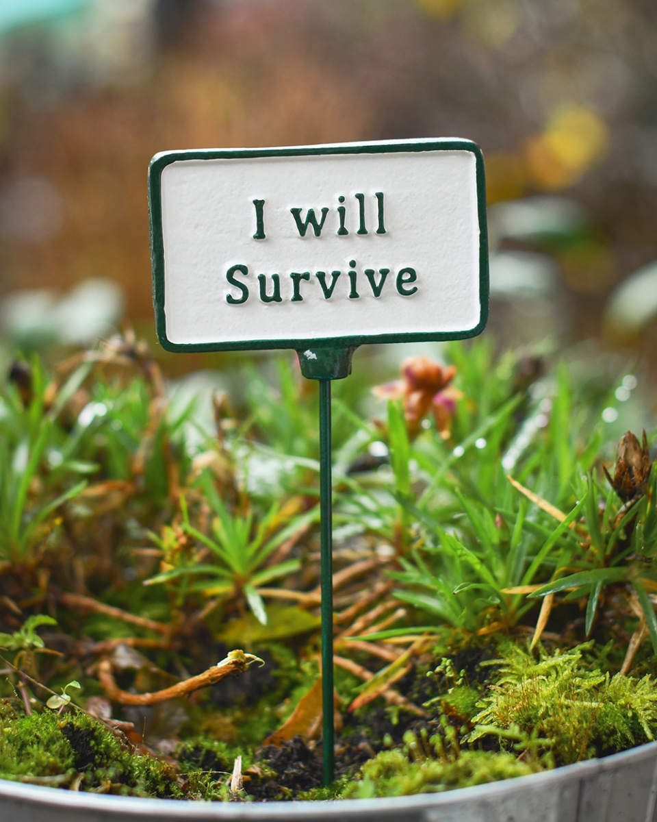 Cast Iron 'I Will Survive' Humorous Plant Pot Spike