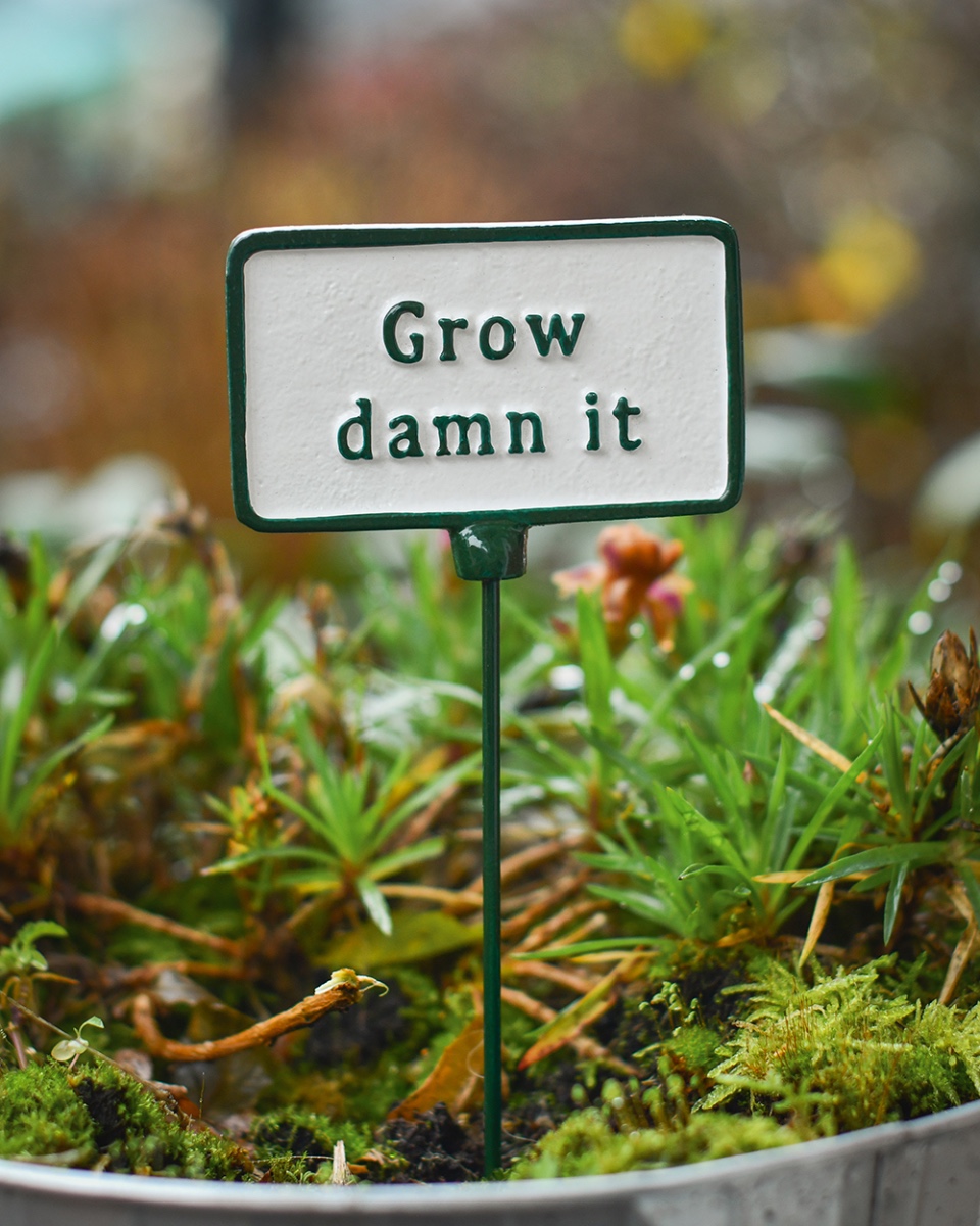 Cast Iron 'Grow Damn It' Humorous Plant Pot Spike