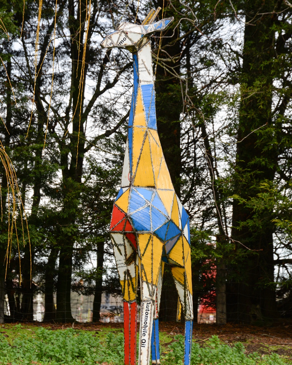 'Altus' The Giraffe Recycled Oil Drum Sculpture