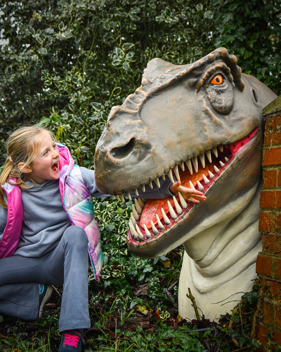 'Chomp' The T-Rex Fibreglass Garden Wall Art