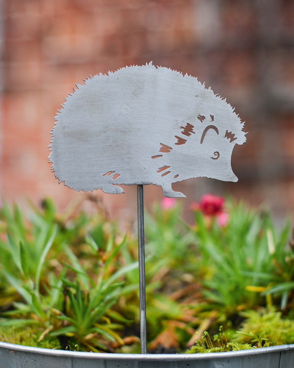 Hedgehog Decorative Plant Pot Spike - Pack Of Two